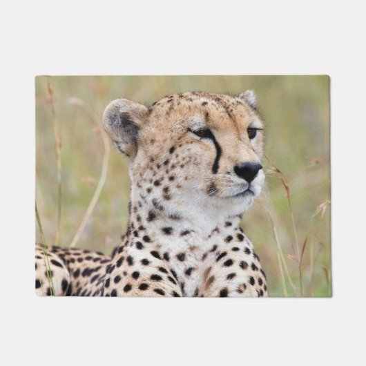 Cheetah Deurmat (Voorkant)