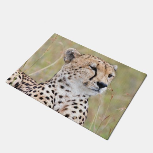 Cheetah Deurmat (Schuin)