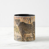 Cheetah die rond kijkt mok (Midden)