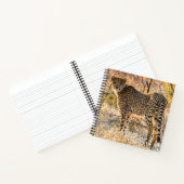 Cheetah die rond kijkt notitieboek (Binnen)