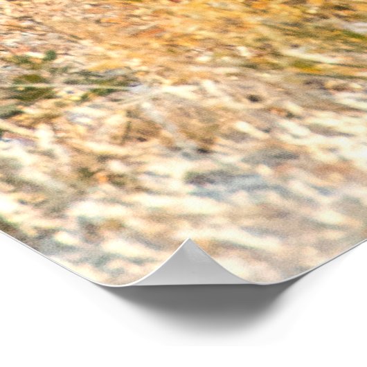 Cheetah die rond kijkt poster (Hoek)