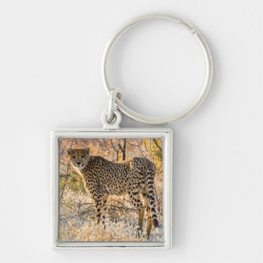 Cheetah die rond kijkt sleutelhanger (Voorkant)