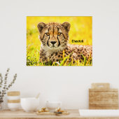 Cheetah, dier van de kattenfamilie poster (Keuken)