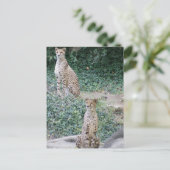 CHEETAH - DUBBEL LIJDEN BRIEFKAART (Staand voorkant)
