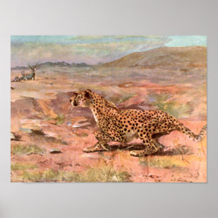 Cheetah en Antelopes van Swan,  Wilde Dier Poster
