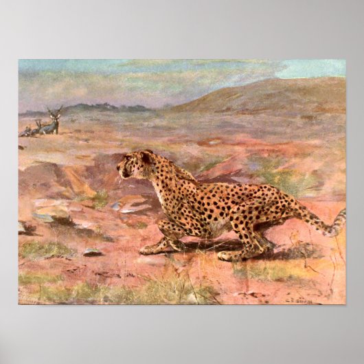 Cheetah en Antelopes van Swan,  Wilde Dier Poster (Voorkant)