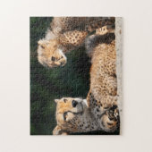 Cheetah en Cub Puzzle Legpuzzel (Verticaal)