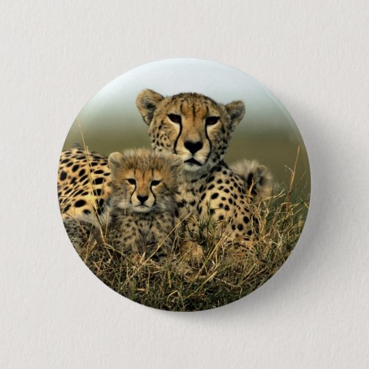 Cheetah en Cub Ronde Button 5,7 Cm (Voorkant)