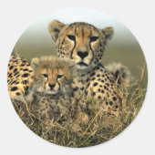 Cheetah en Cub Ronde Sticker (Voorkant)