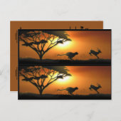 Cheetah en Gazelle-boekmerktekens Briefkaart (Voorkant / Achterkant)