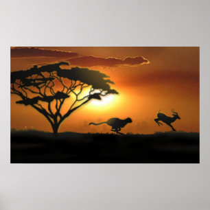 Cheetah en Gazelle Poster