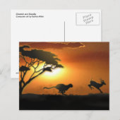 Cheetah en Gazelle-postkaart Briefkaart (Voorkant / Achterkant)