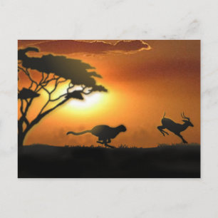 Cheetah en Gazelle-postkaart Briefkaart