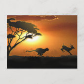 Cheetah en Gazelle-postkaart Briefkaart (Voorkant)