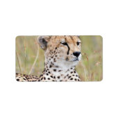 Cheetah Etiket (Voorkant)