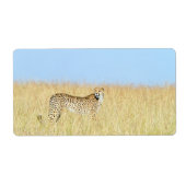 Cheetah Etiket (Voorkant)