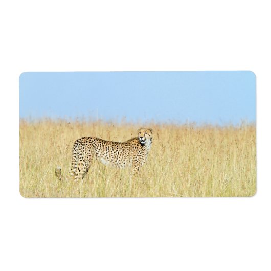 Cheetah Etiket (Voorkant)