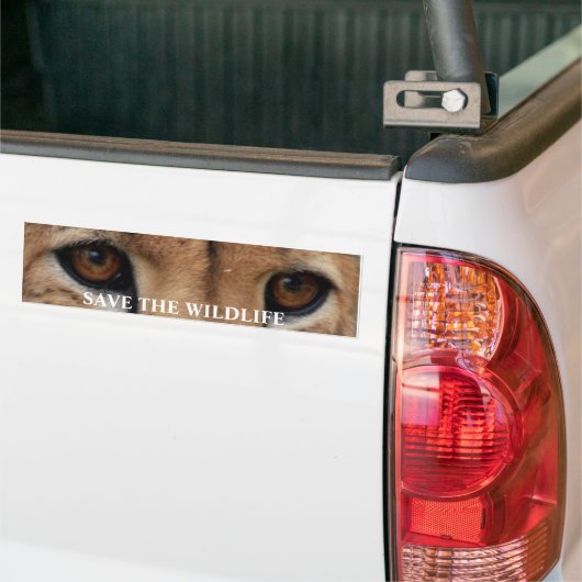 Cheetah Eyes1, BESPAAR HET WILDE LEVEN Bumpersticker (Op Truck)