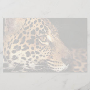 Cheetah Face Briefpapier