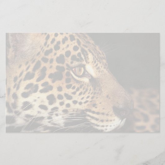 Cheetah Face Briefpapier (Voorkant)