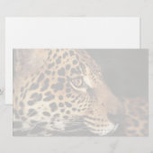 Cheetah Face Briefpapier (Voorkant / Achterkant)