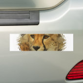 Cheetah Face Bumpersticker (Op auto)