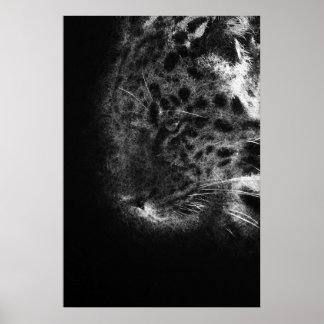 Cheetah Face Close-up decoratieve schetskunst Poster