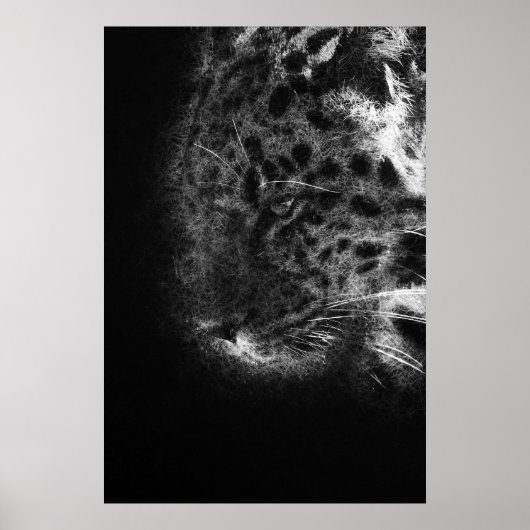 Cheetah Face Close-up decoratieve schetskunst Poster (Voorkant)