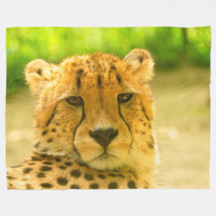 Cheetah Face Fleece Blanket