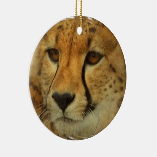Cheetah Face Ornament (Rechts)