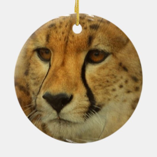 Cheetah Face Ornament (Achterkant)
