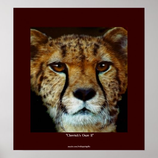 CHEETAH FACE Wildlife Art Poster (Voorkant)