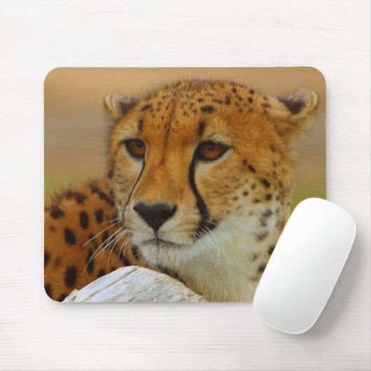 Cheetah Face Wildlife Mousepad Muismat (Met muis)