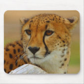 Cheetah Face Wildlife Mousepad Muismat (Voorkant)