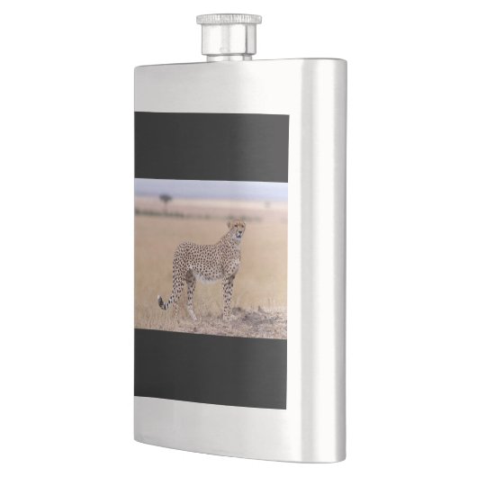 Cheetah Flacon (Links)