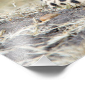 Cheetah Foto Afdruk (Hoek)