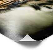 Cheetah Foto Afdruk (Hoek)