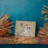 Cheetah Fotoplaat (Zijkant)