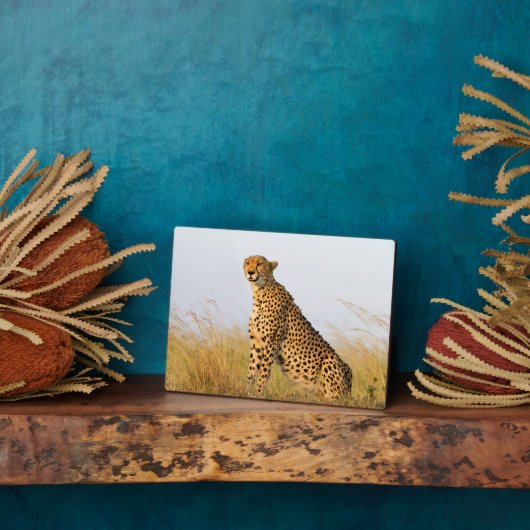 Cheetah Fotoplaat (Zijkant)