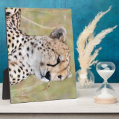 Cheetah Fotoplaat (Zijkant)