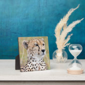 Cheetah Fotoplaat (Insitu)