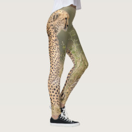 Cheetah gefotografeerd in de wilde kwaliteit leggings