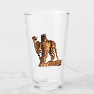Cheetah Glass Glas