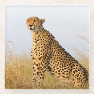 Cheetah Glazen Onderzetter