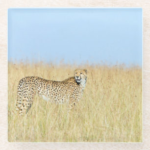 Cheetah Glazen Onderzetter