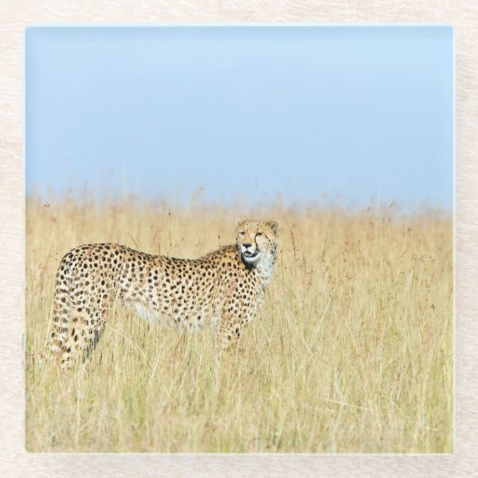 Cheetah Glazen Onderzetter (Voorkant)