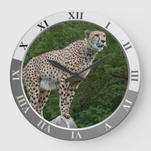 Cheetah Grote Klok