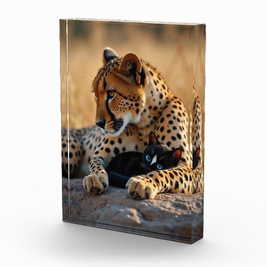 Cheetah Guardian, Kitten Heart Fotoblokken (Rechts)