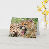 Cheetah - Happy Birthday Greeting Card Kaart (Gele Bloem)