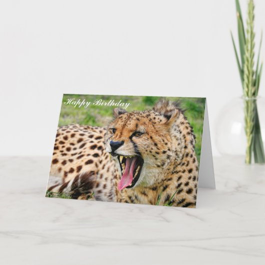 Cheetah - Happy Birthday Greeting Card Kaart (Voorkant)